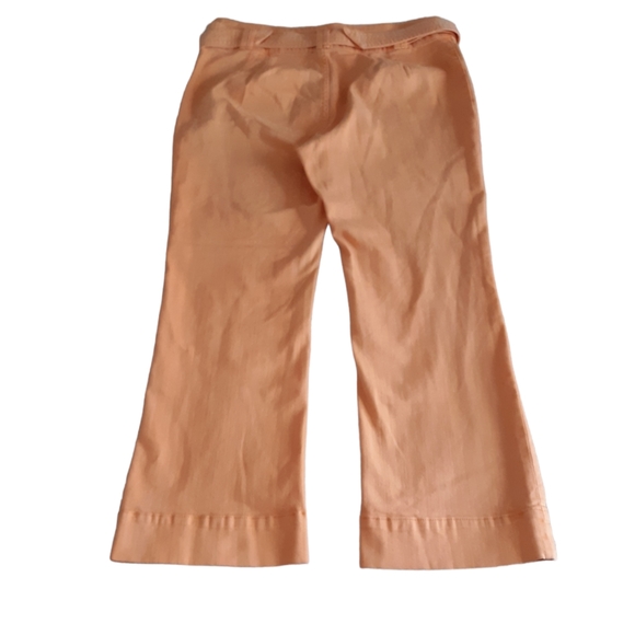 Pilcro and the Letterpress By Anthropologie High-Rise Flare Size 31 Crop Pants - Picture 3 of 15